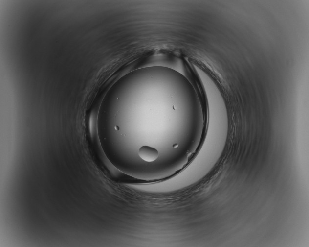 X0000094810407200711161512