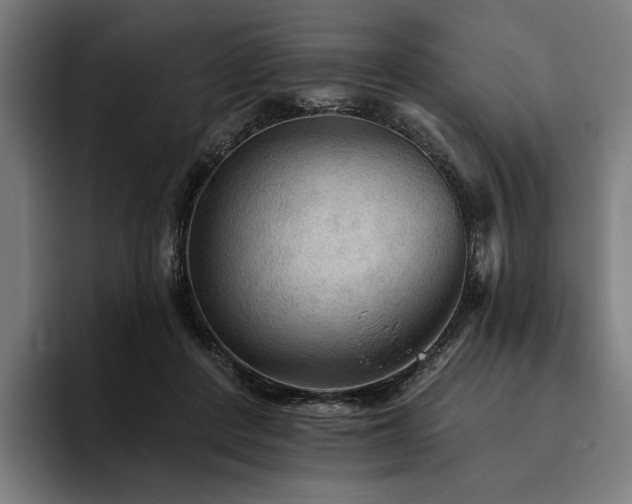 X0000094810408200711161511