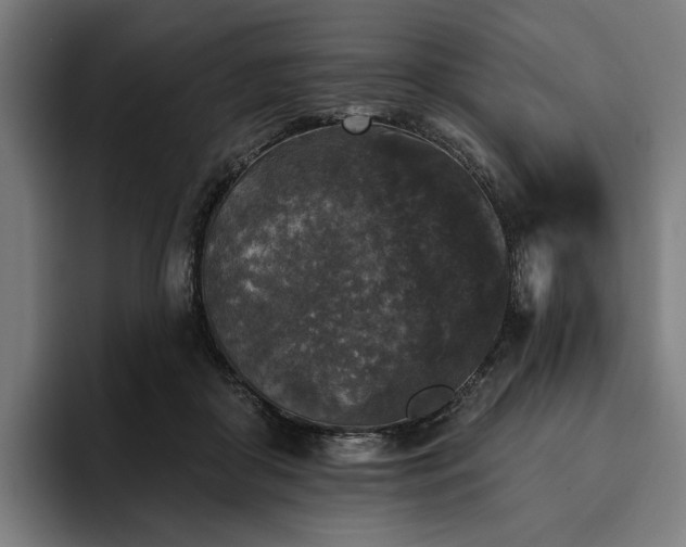 X0000094810410200711161511