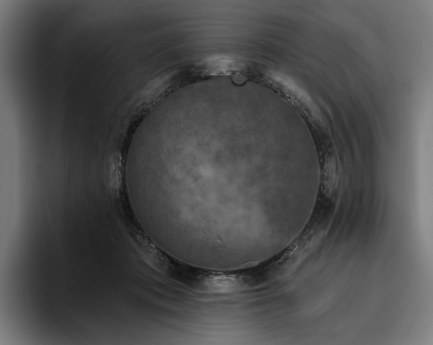 X0000094810413200711161511