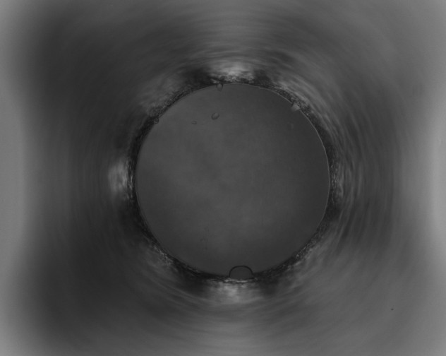 X0000094810420200711161511