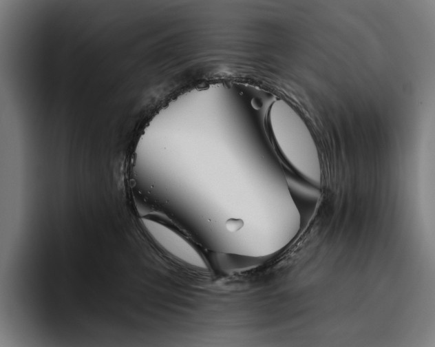 X0000094810423200711161511