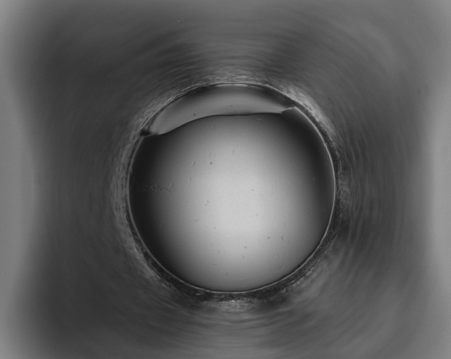 X0000094810433200711161511