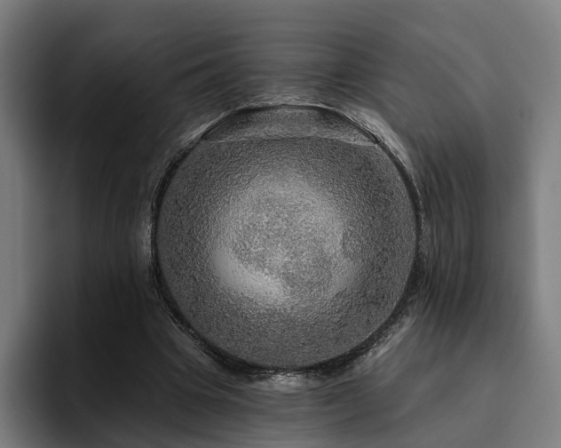 X0000094810441200711161511