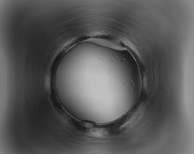 X0000094810444200711161511