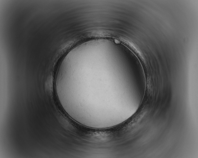 X0000094810445200711161511