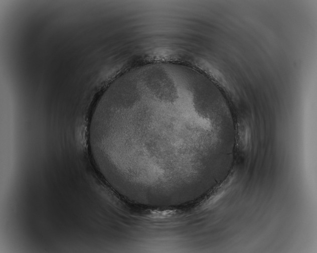 X0000094810450200711161511