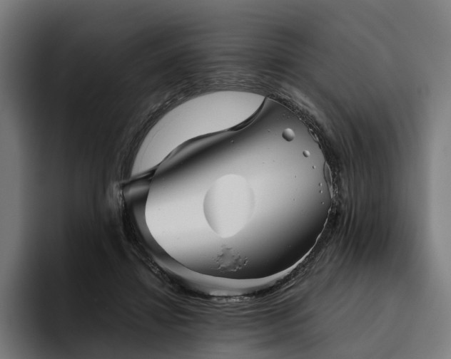 X0000094810452200711161511