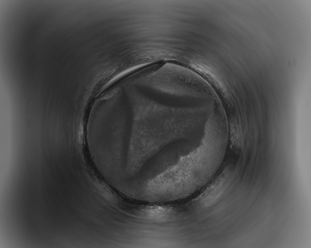 X0000094810453200711161511