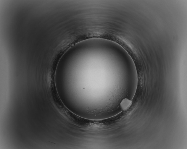 X0000094810455200711161511