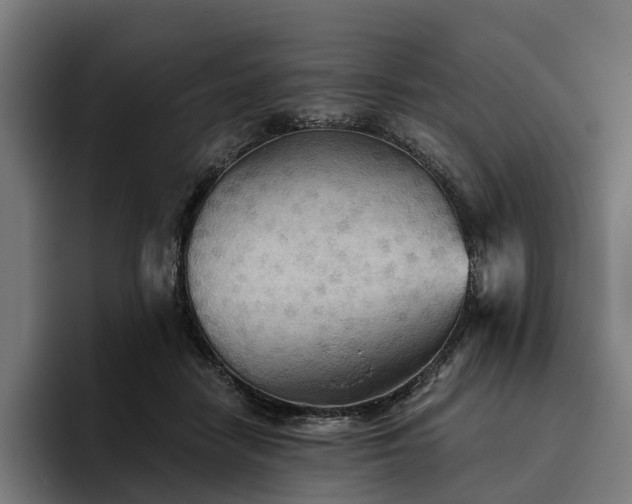 X0000094810458200711161511
