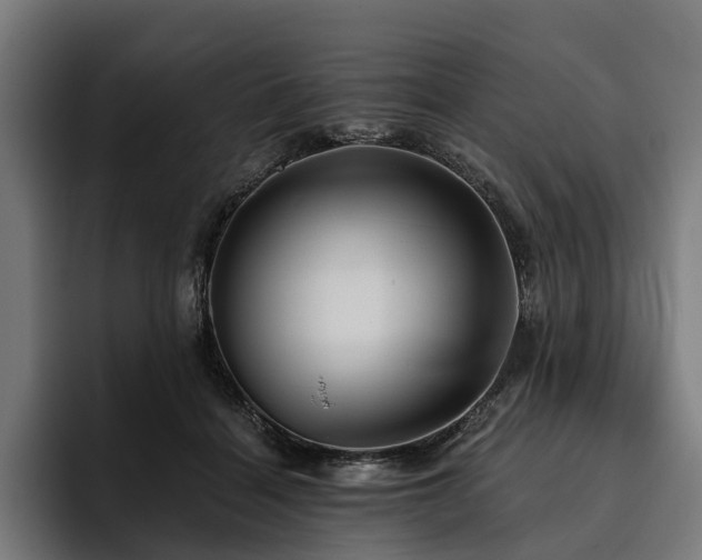 X0000094810460200711161511