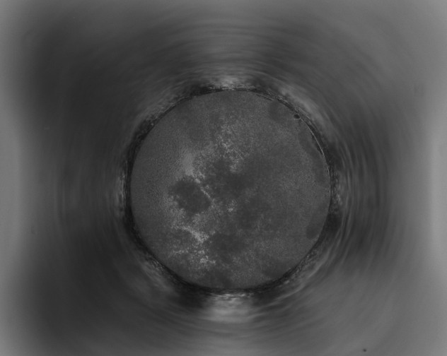 X0000094810461200711161511