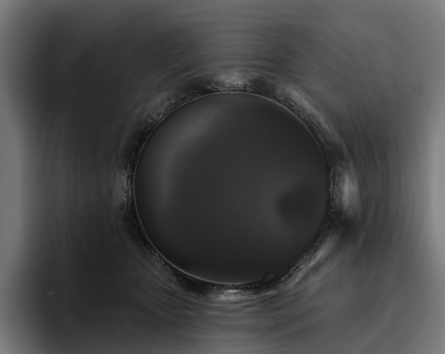 X0000094810467200711161511