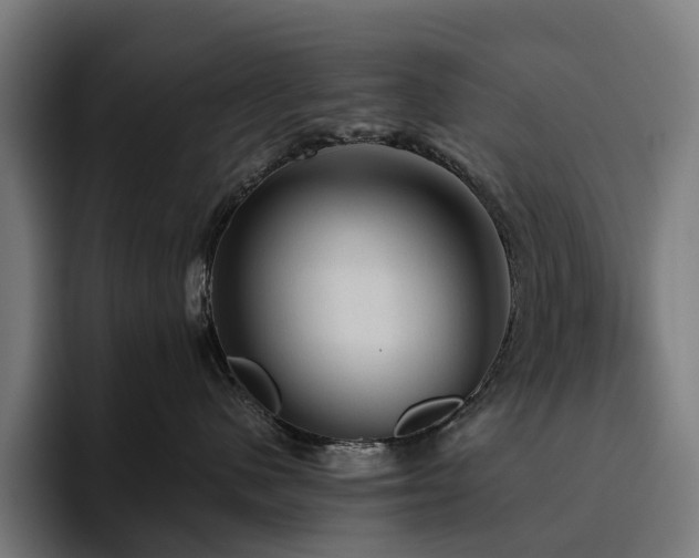 X0000094810480200711161511
