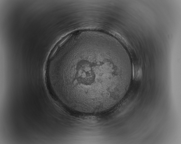 X0000094810483200711161511