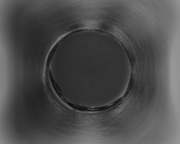 X0000094810484200711161510