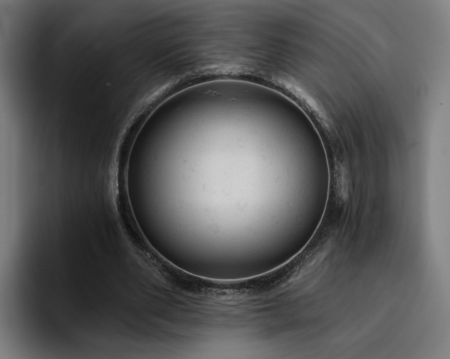 X0000094810486200711161510