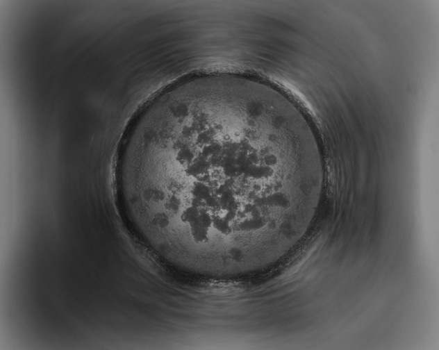 X0000094810487200711161510
