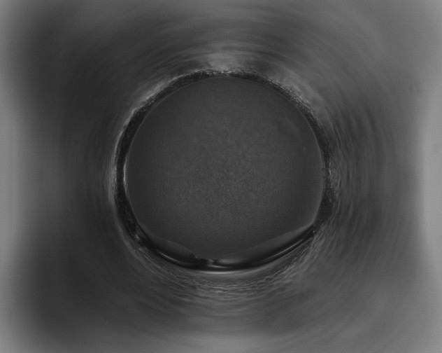 X0000094810488200711161510