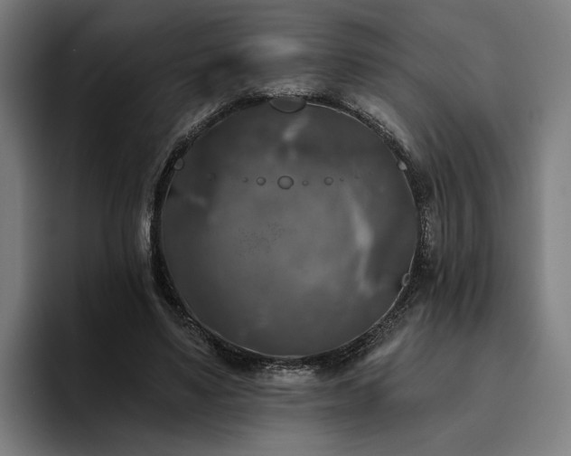 X0000094810491200711161510