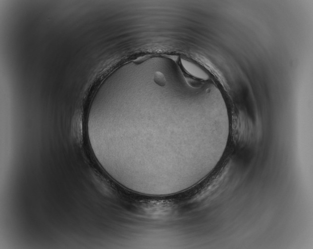 X0000094810493200711161510
