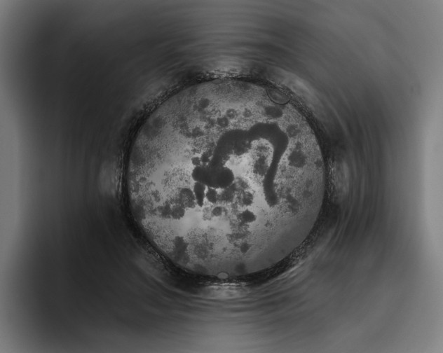 X0000094810499200711161510