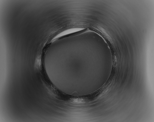 X0000094810500200711161510