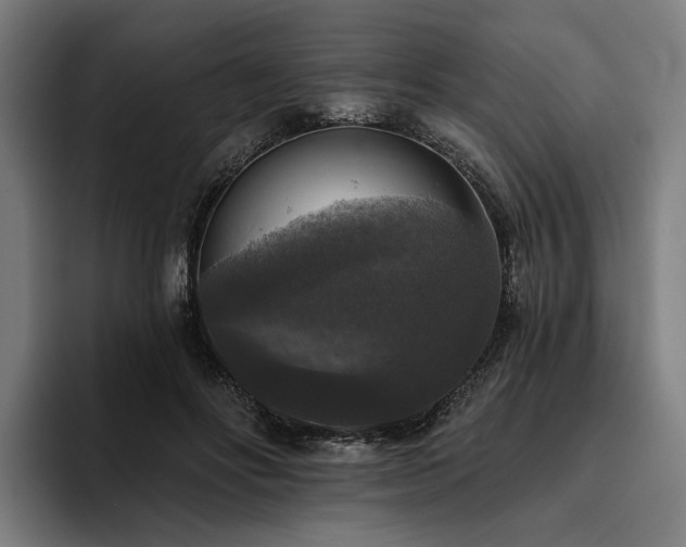 X0000094810502200711161510
