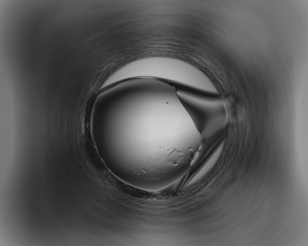 X0000094810504200711161510