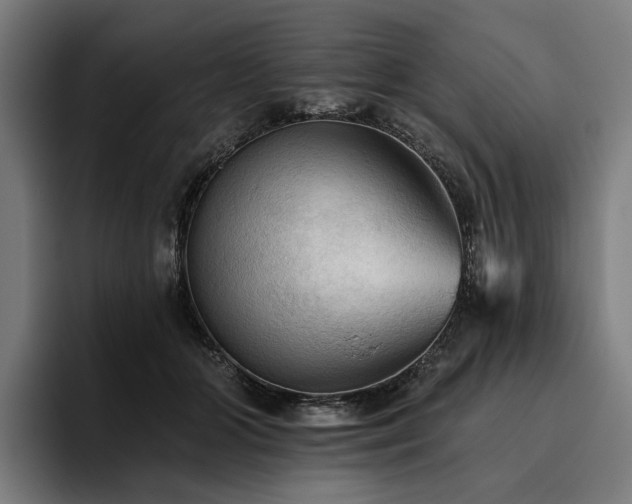 X0000094810510200711161510