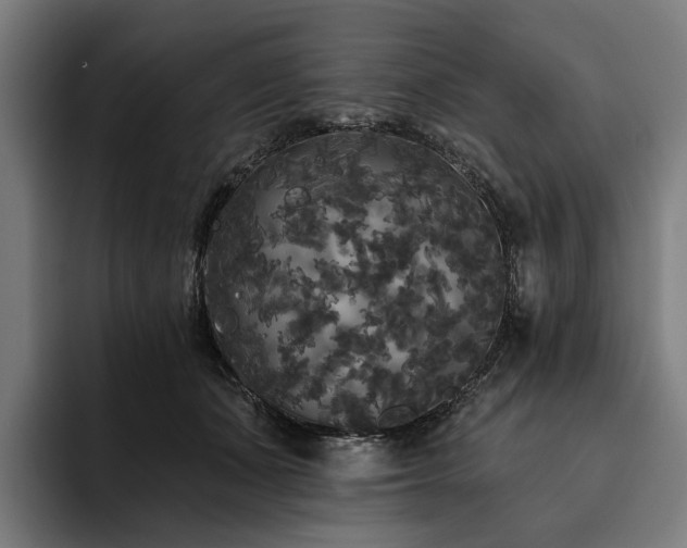 X0000094810511200711161510