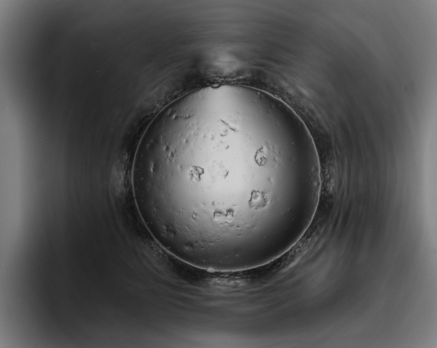 X0000094810515200711161510