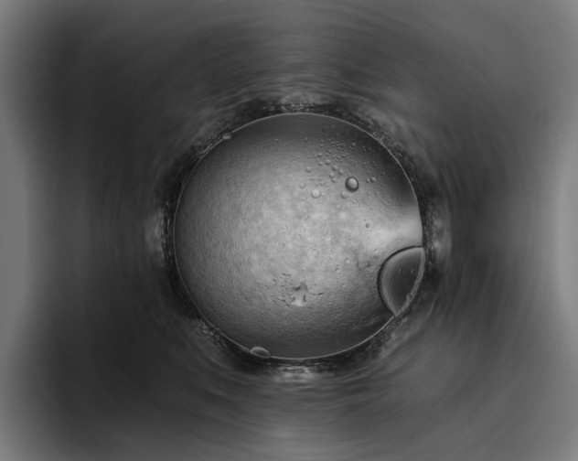 X0000094810519200711161510