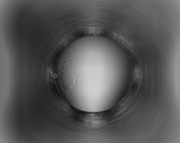 X0000094810522200711161510