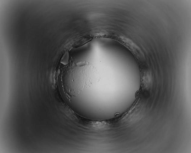 X0000094810525200711161510