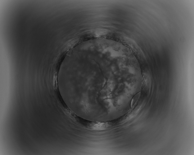 X0000094810527200711161510