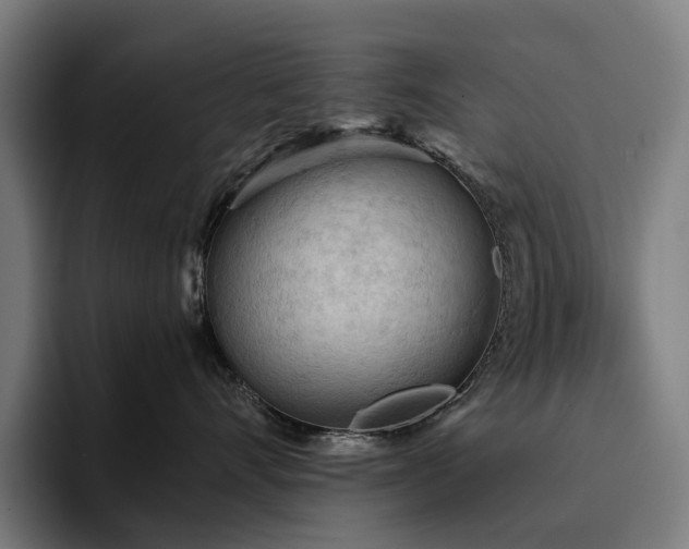 X0000094810528200711161510