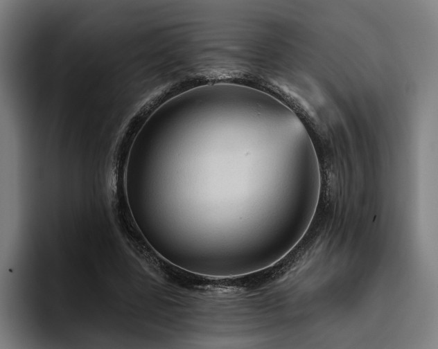 X0000094810539200711161509