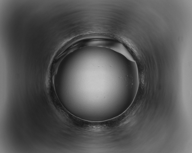 X0000094810540200711161509