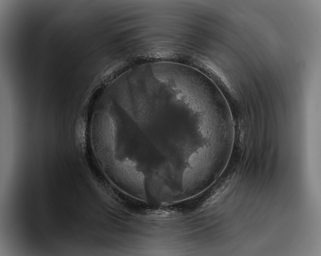 X0000094810542200711161509