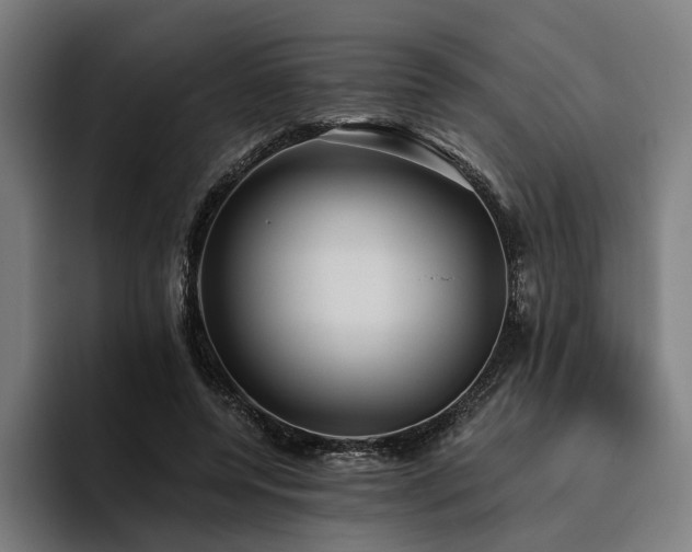 X0000094810544200711161509