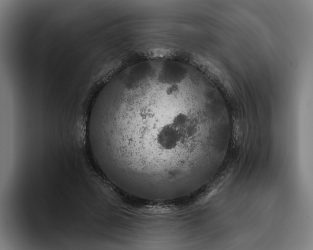 X0000094810545200711161509