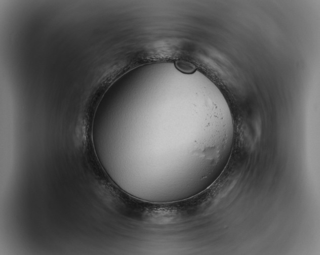 X0000094810546200711161510