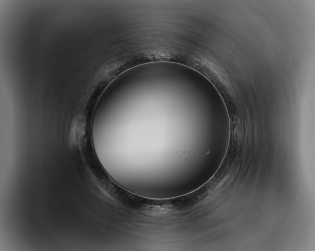 X0000094810548200711161510