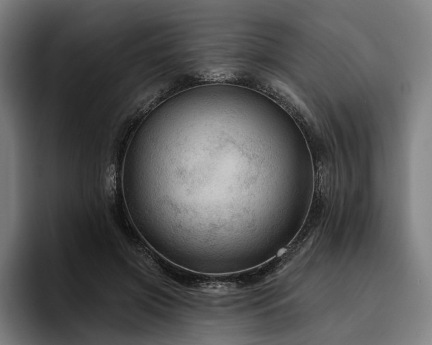 X0000094810549200711161510