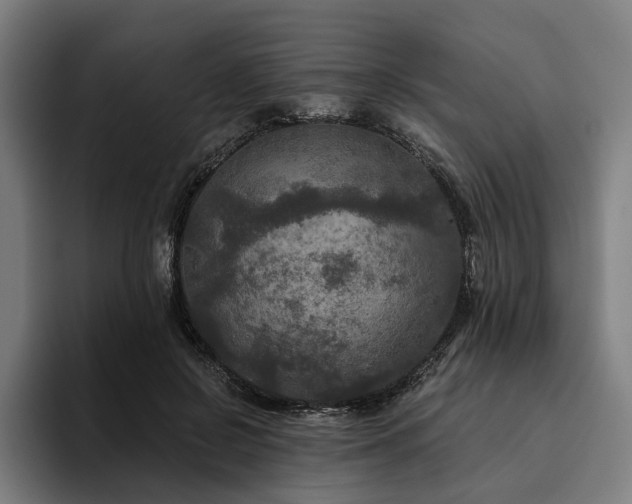 X0000094810550200711161510