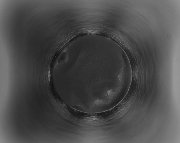 X0000094810551200711161510