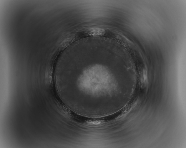 X0000094810553200711161510