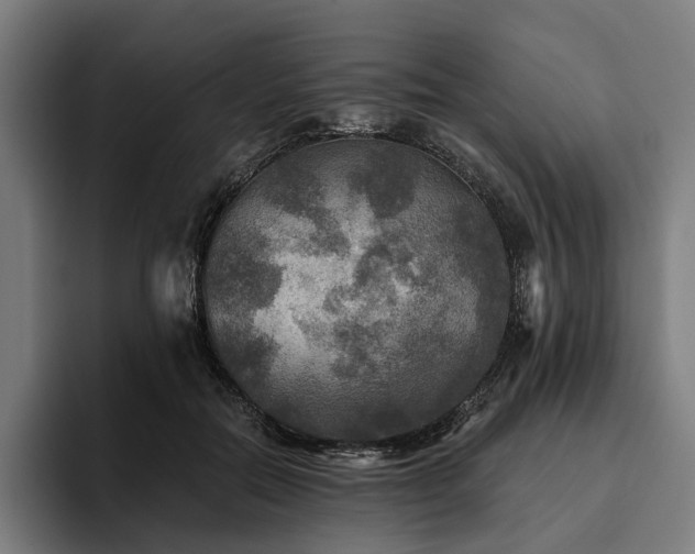 X0000094810554200711161510